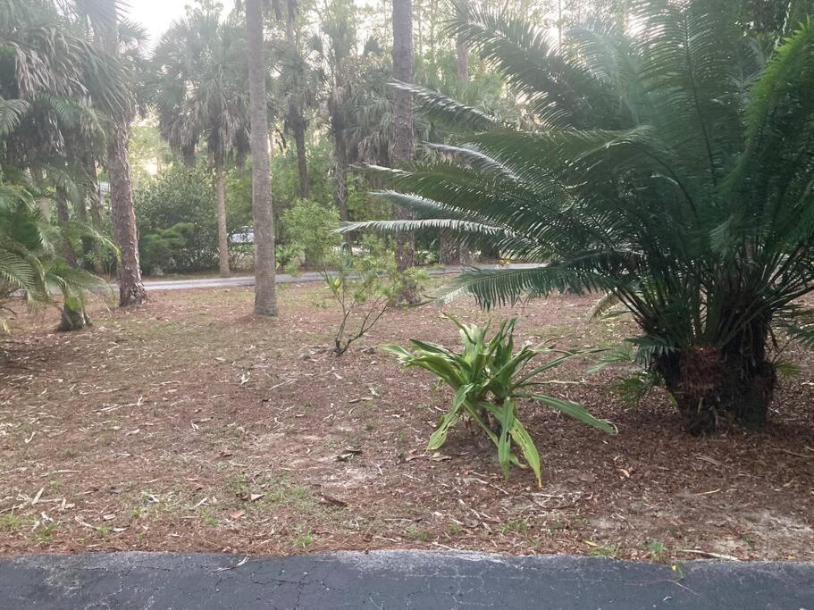 "Mia'S Place" Beautiful Private Apartment Surrounded By Nature North North Naples 外观 照片